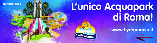 BANNER 541x150 PIXEL 2025